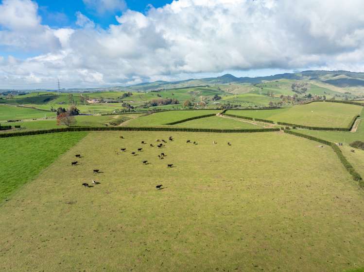 376 Starkey Road Morrinsville_25