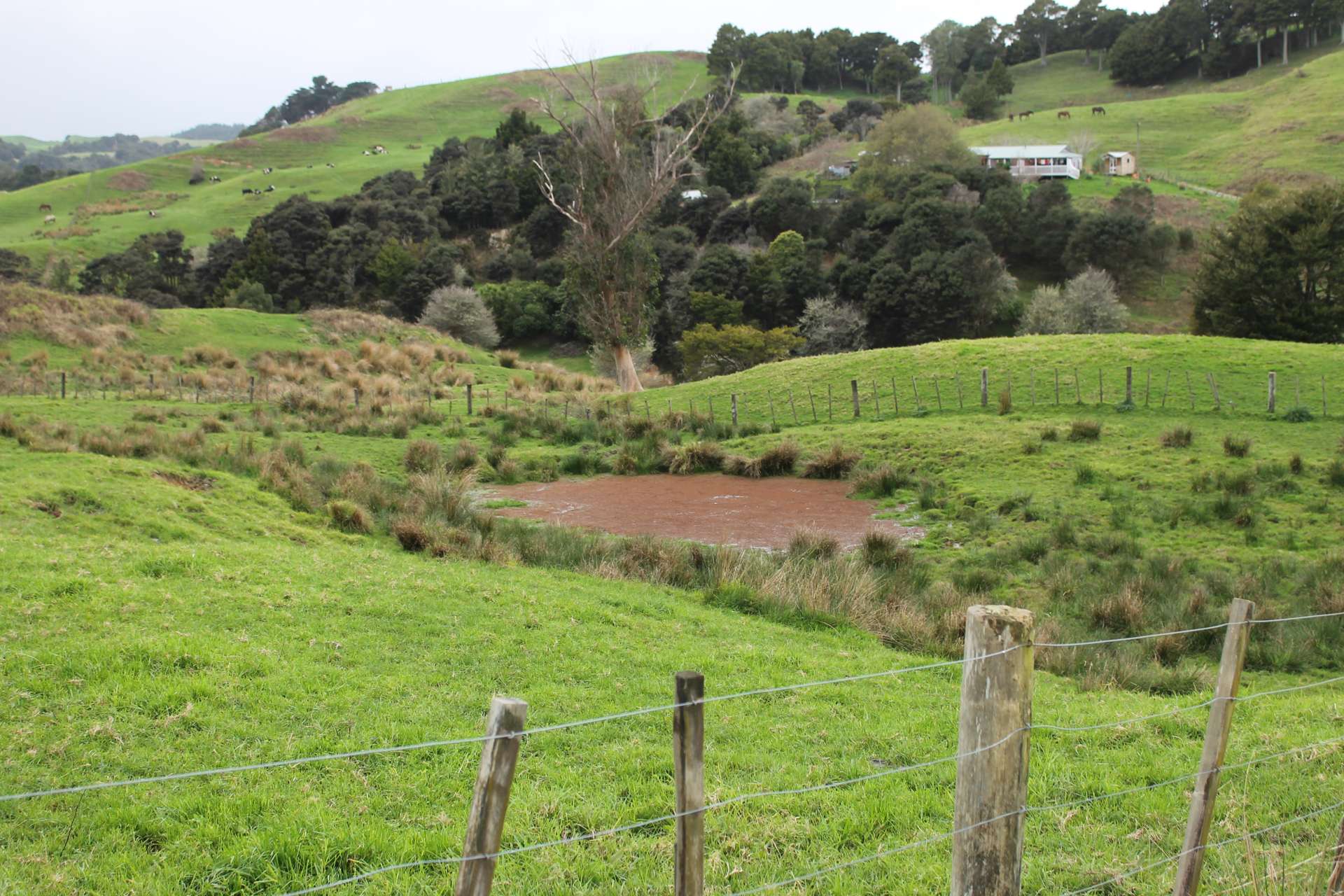 1784 State Highway 12 Paparoa_0