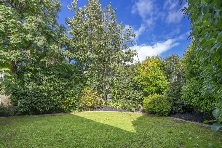 50 Milton Road Mount Eden_21