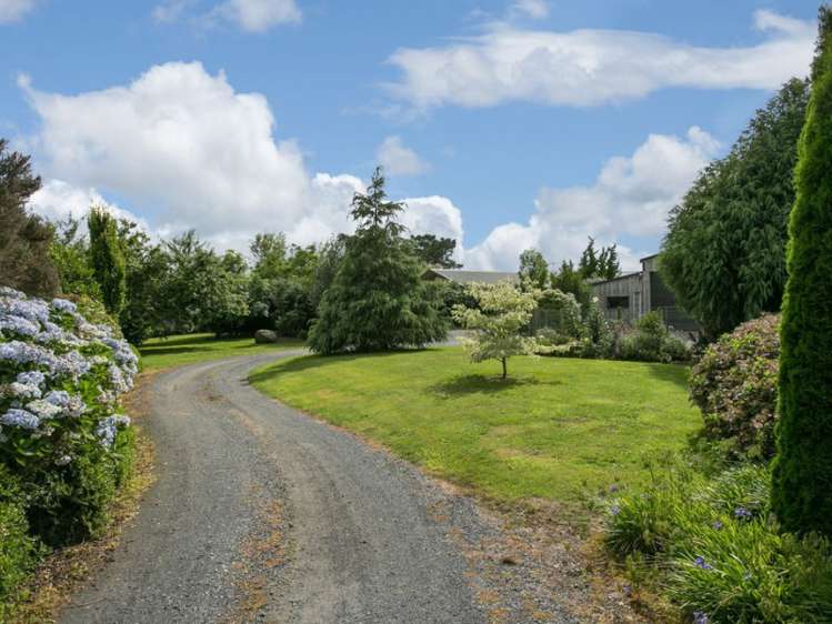 52 Taawharuwharu Lane Cambridge_22