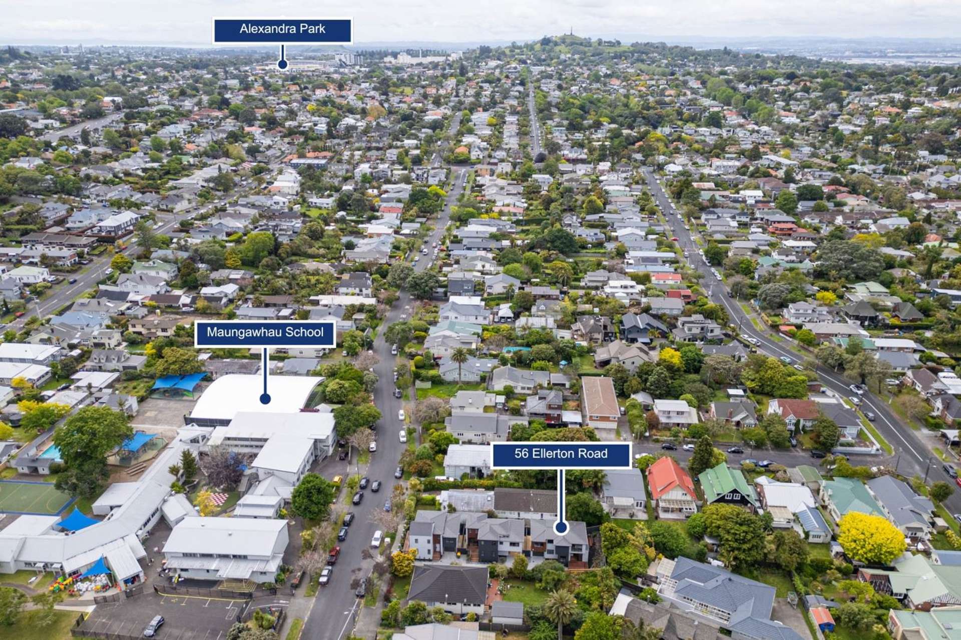 56B Ellerton Road Mt Eden_0