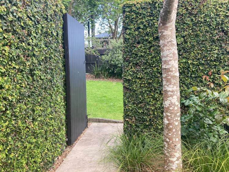 3 Gwilliam Place Freemans Bay_18