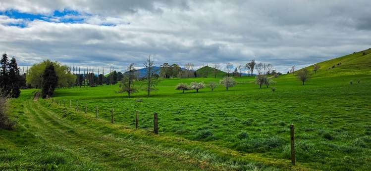 83 Brett Road Rerewhakaaitu_10