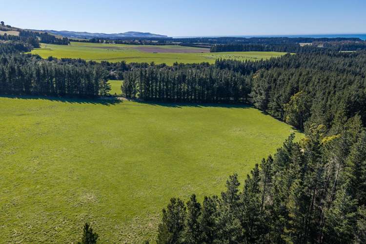 1492 Happy Valley Road Motunau_13