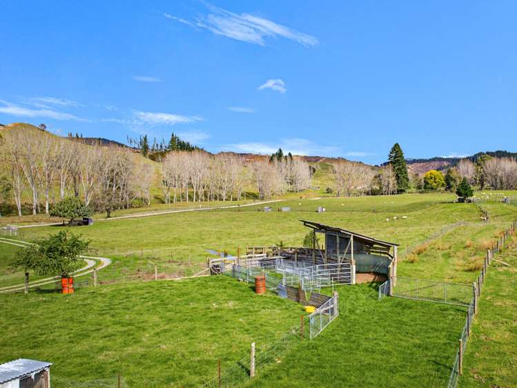 170 Glenrae Road Tapawera_21