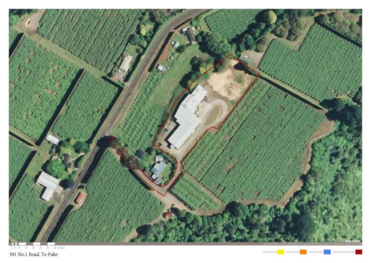 591 No 1 Road Te Puke_16