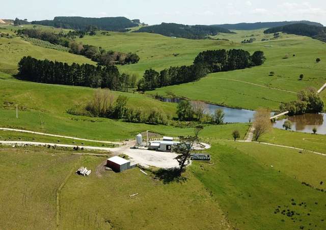 788 Burma Road Tapora_1