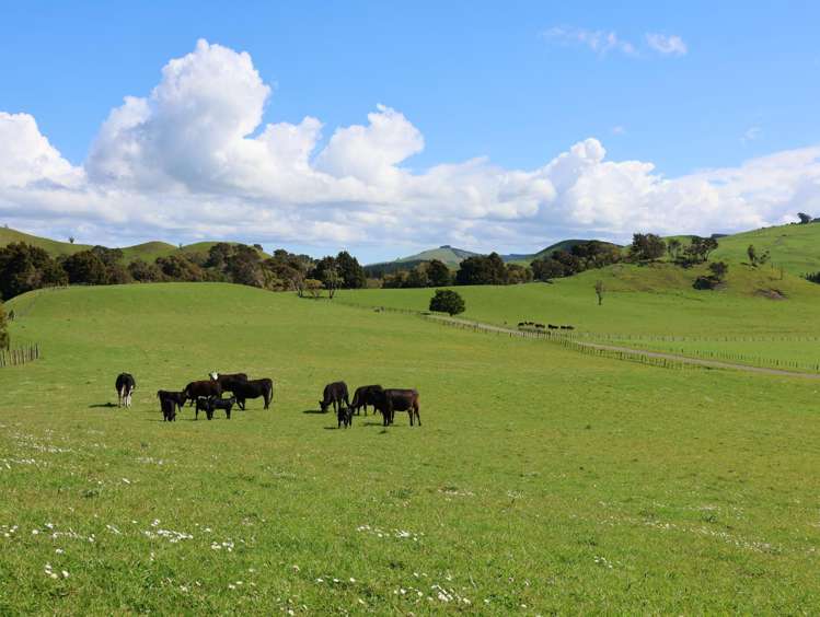 98 Millstream Road Dannevirke_22