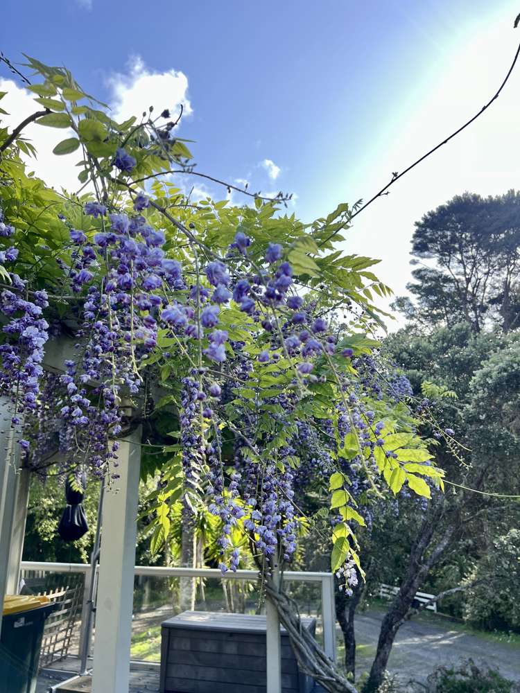 55 Coatesville-Riverhead Highway Coatesville_18