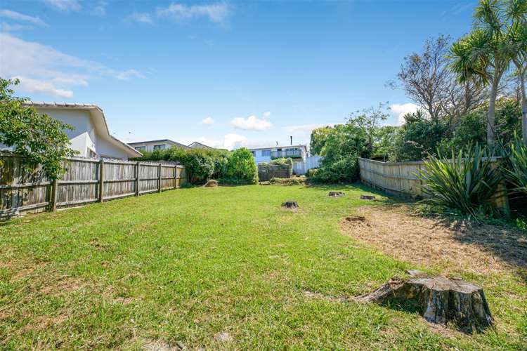 114 Woodglen Road Glen Eden_13