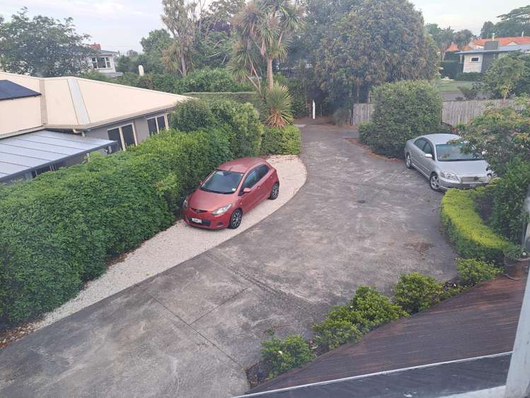 509 Frederick Street Mahora_17