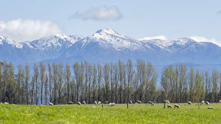 Lot 1, Lot 2 Cornwall Road East Taratahi_6