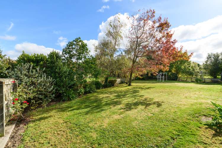 8 Almond Grove Feilding_18