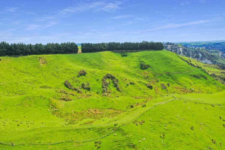 451 Table Flat Road Apiti_6