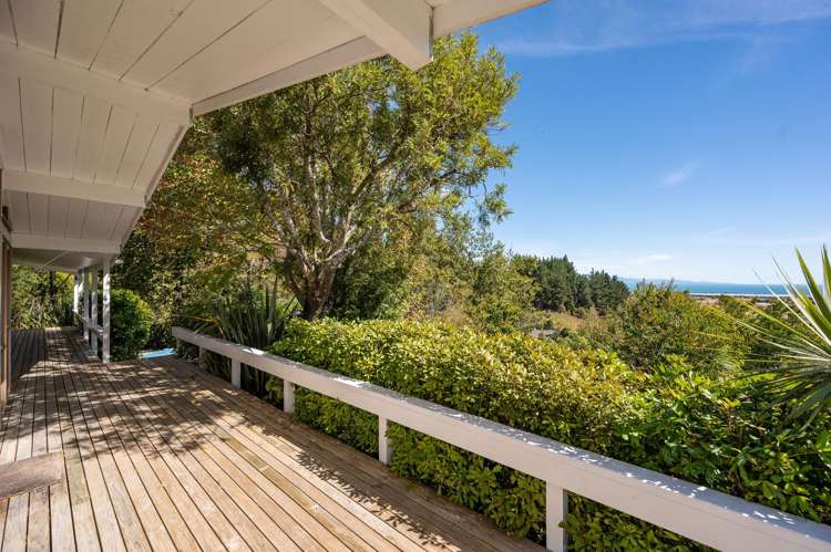 37 Little Todd Valley Road Todds Valley_19