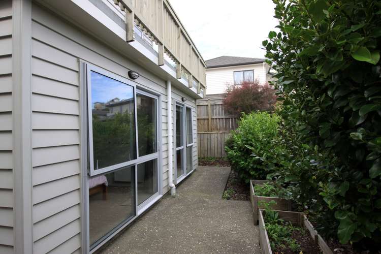 64a Sheridan Terrace Johnsonville_15