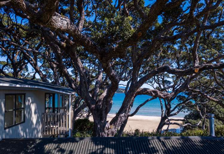 456 Shoal Bay Road Great Barrier Island (Aotea Island)_15