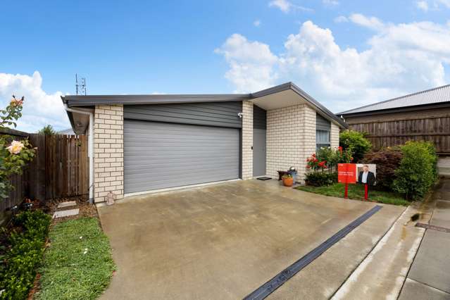 Brick, Schooling And Lifestyle