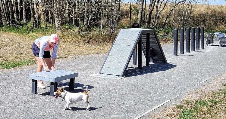 925c Sandy Knolls Road West Melton_16