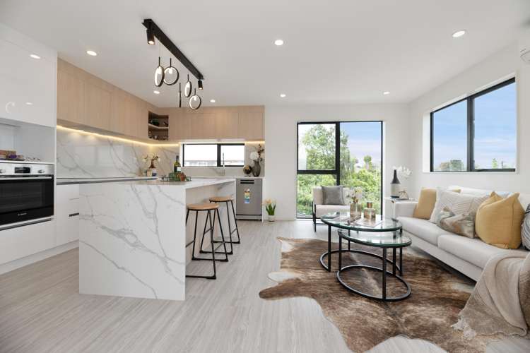 1A Scout Avenue Mt Roskill_1