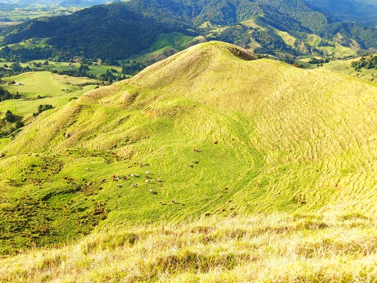 92 Takahue Saddle Road Takahue_1