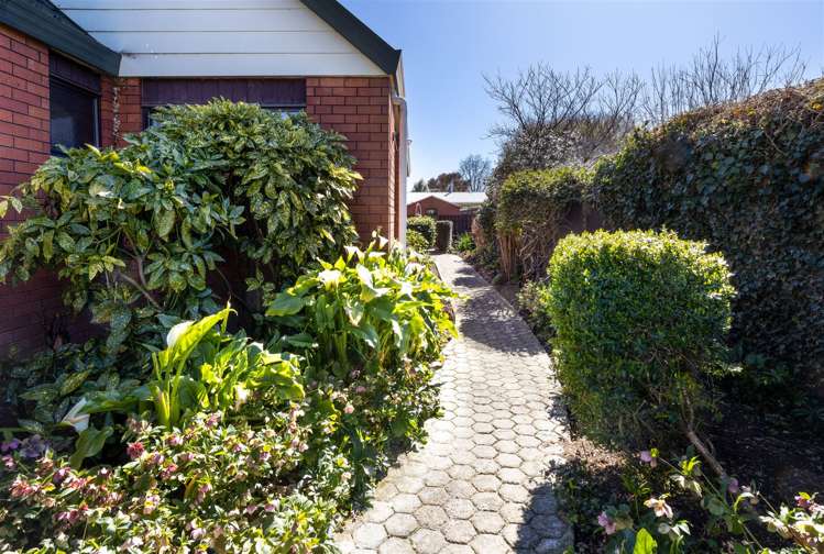 25a Murphys Road Springlands_9
