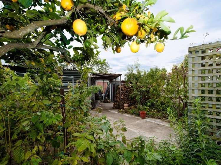 5 Renwick Street Seddon_10