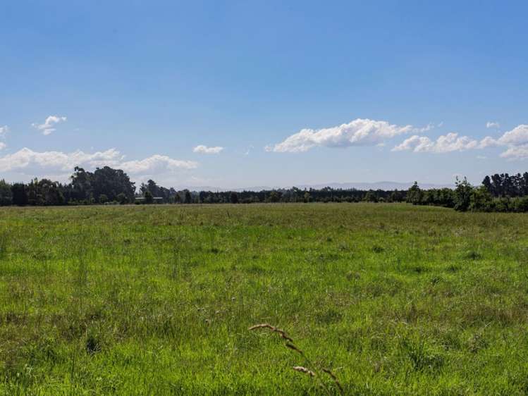 205 Hursley Terrace Road Amberley_17