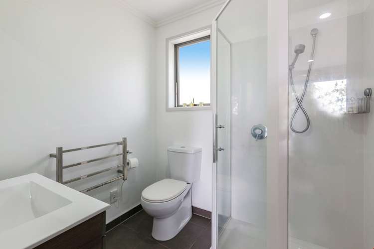 190c Lonely Track Road Dairy Flat_18