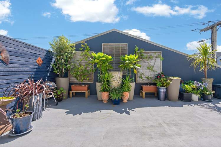 46A Sydney Street Petone_11