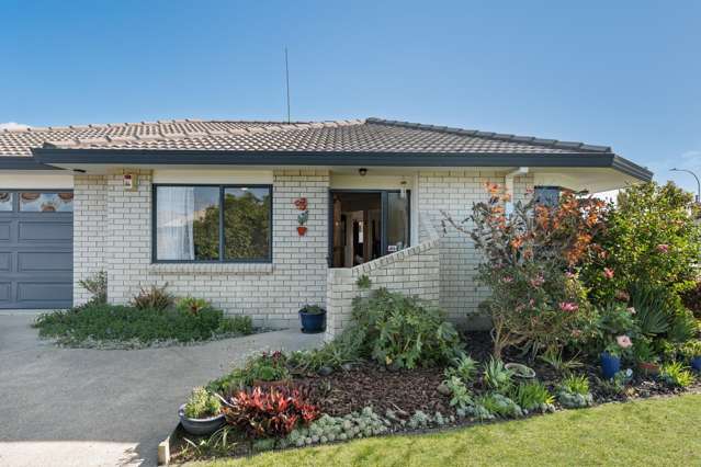 2 Lotus Avenue Mount Maunganui_3