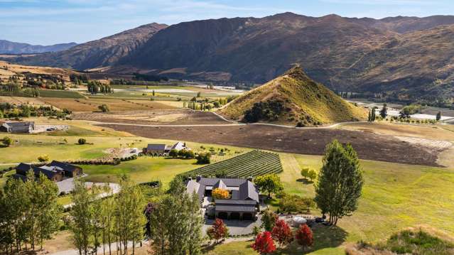 Lifestyle in the vines