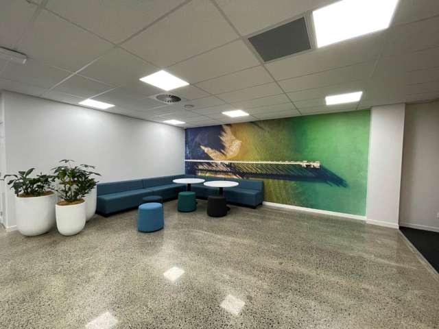 4 Murdoch Road Grey Lynn_4