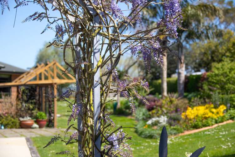 15 Josephine Place Te Kauwhata_35