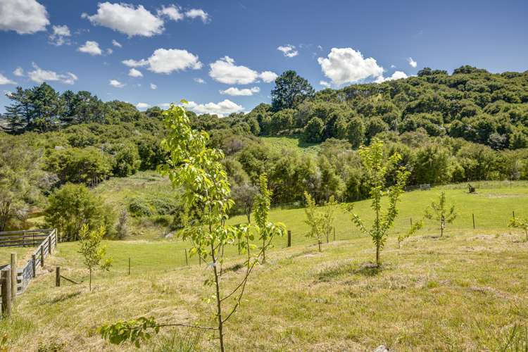 1079 Ellis Wallace Road Eskdale_26