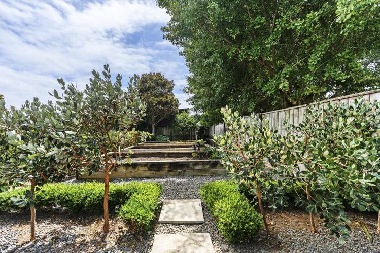 293a Carrington Street Vogeltown_24