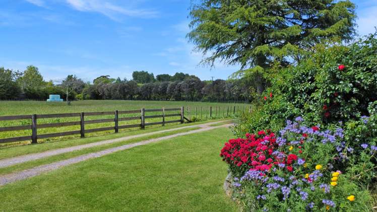 1009 White Pine Bush Road Awakeri_11