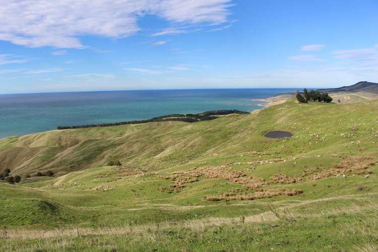 750 Otahome Road Otahome_15