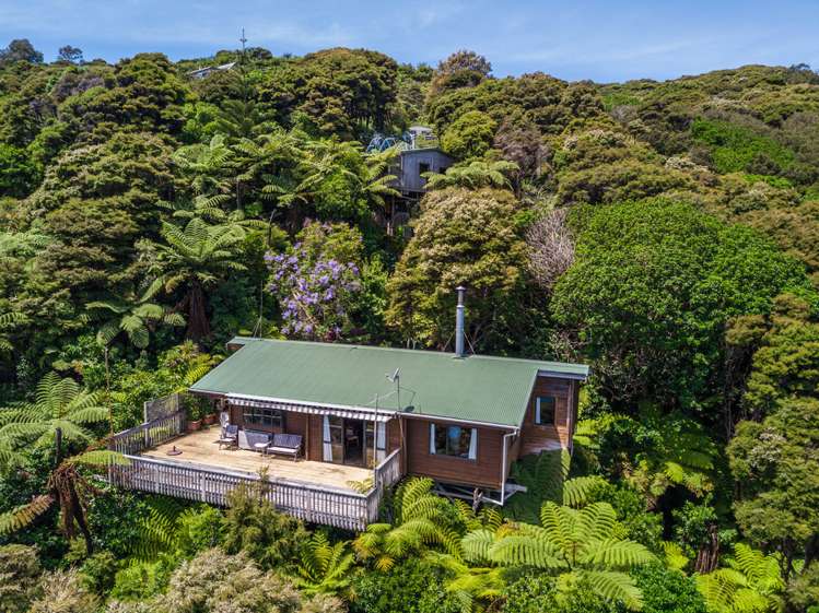 236 Kaiaraara Bay Road Great Barrier Island (Aotea Island)_15