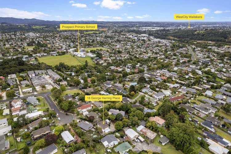 18 George Herring Place Glen Eden_22