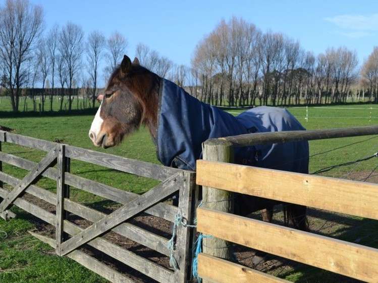 304 Springston Rolleston Road Rolleston_10