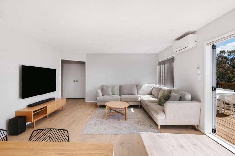 32 Judea Road Judea_4