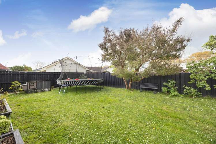 17 Alexander Street Awapuni_18