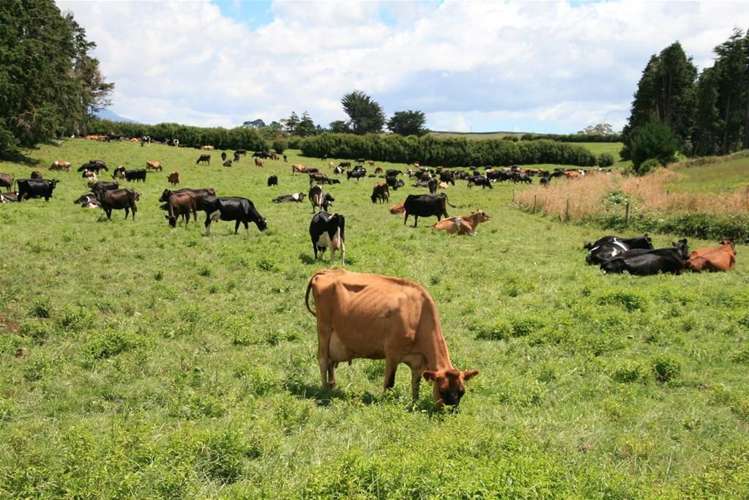 248 Bird Road Stratford_6