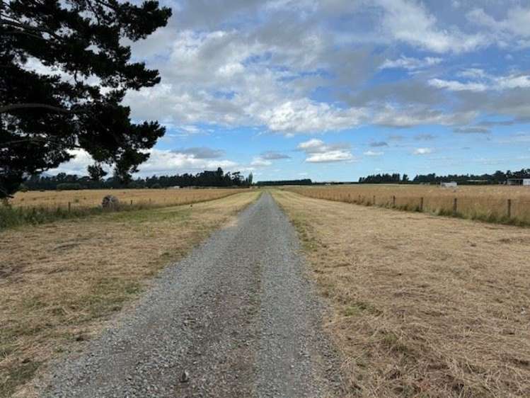 393 Kowai Road Springfield_13