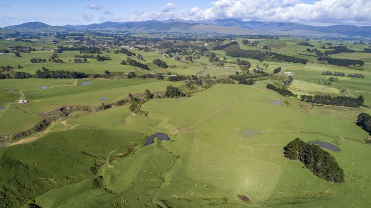 84134 State Highway 2 Eketahuna_6