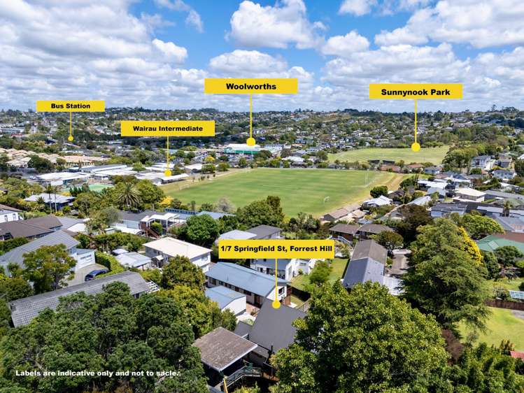 1/7 Springfield Street Forrest Hill_28