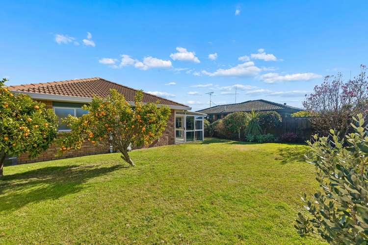 23 Lotus Avenue Mt Maunganui_5