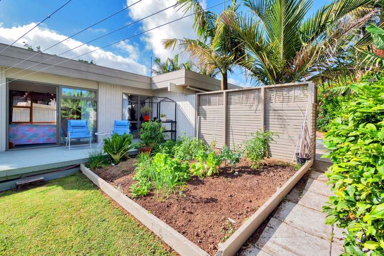 85 Carnoustie Drive Wattle Downs_18