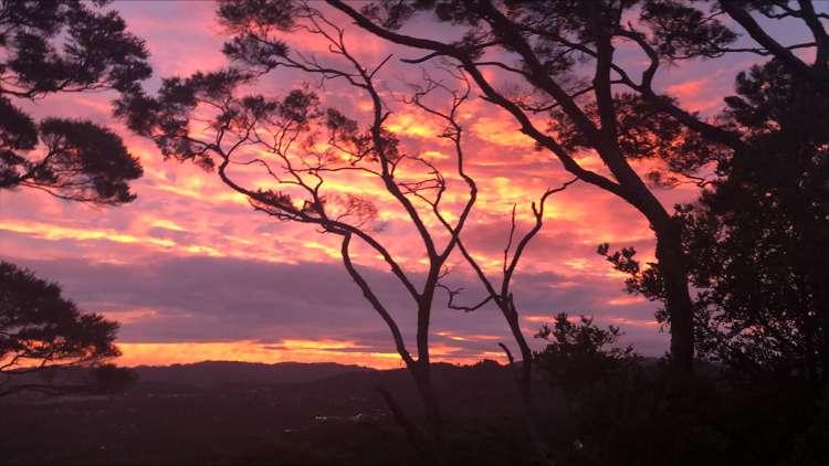 23 Scenic Drive Titirangi_20